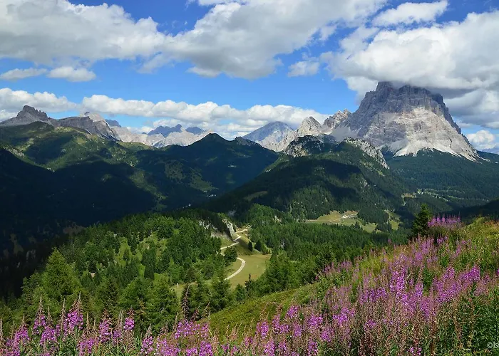 Szálloda Garni La Rondine Selva di Cadore
